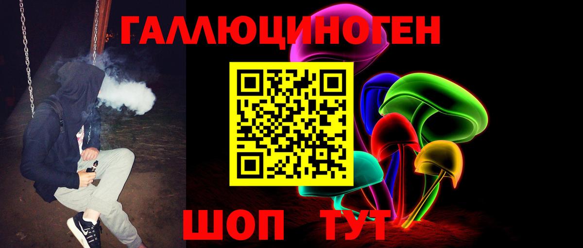 Галлюциногенные грибы Cubensis Черкесск